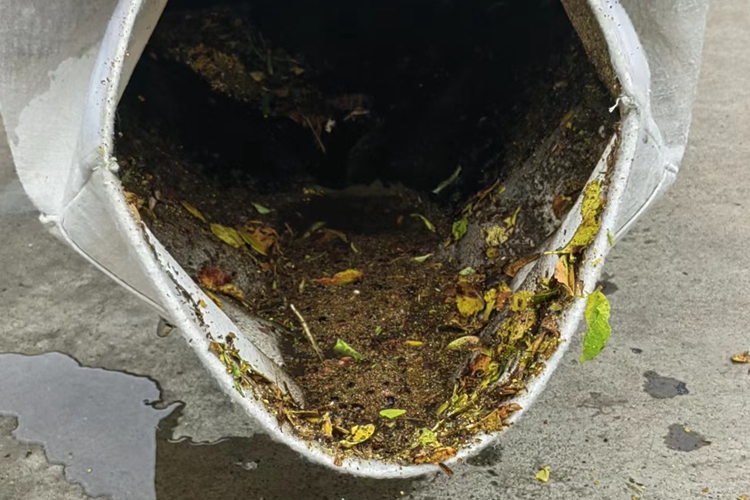 云南昆明寶來潔燃油版WBLV506H吸葉機(jī)草坪、學(xué)校、小區(qū)、公園、市政綠化保潔吸樹葉機(jī)